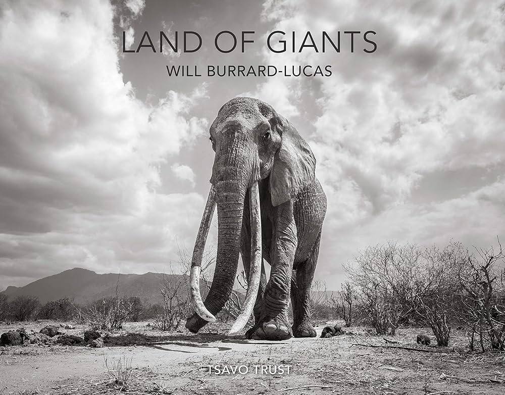 The Cravats – The Land Of The Giants The Cravats DCL – The Land Of The Giants – Vinyl (12